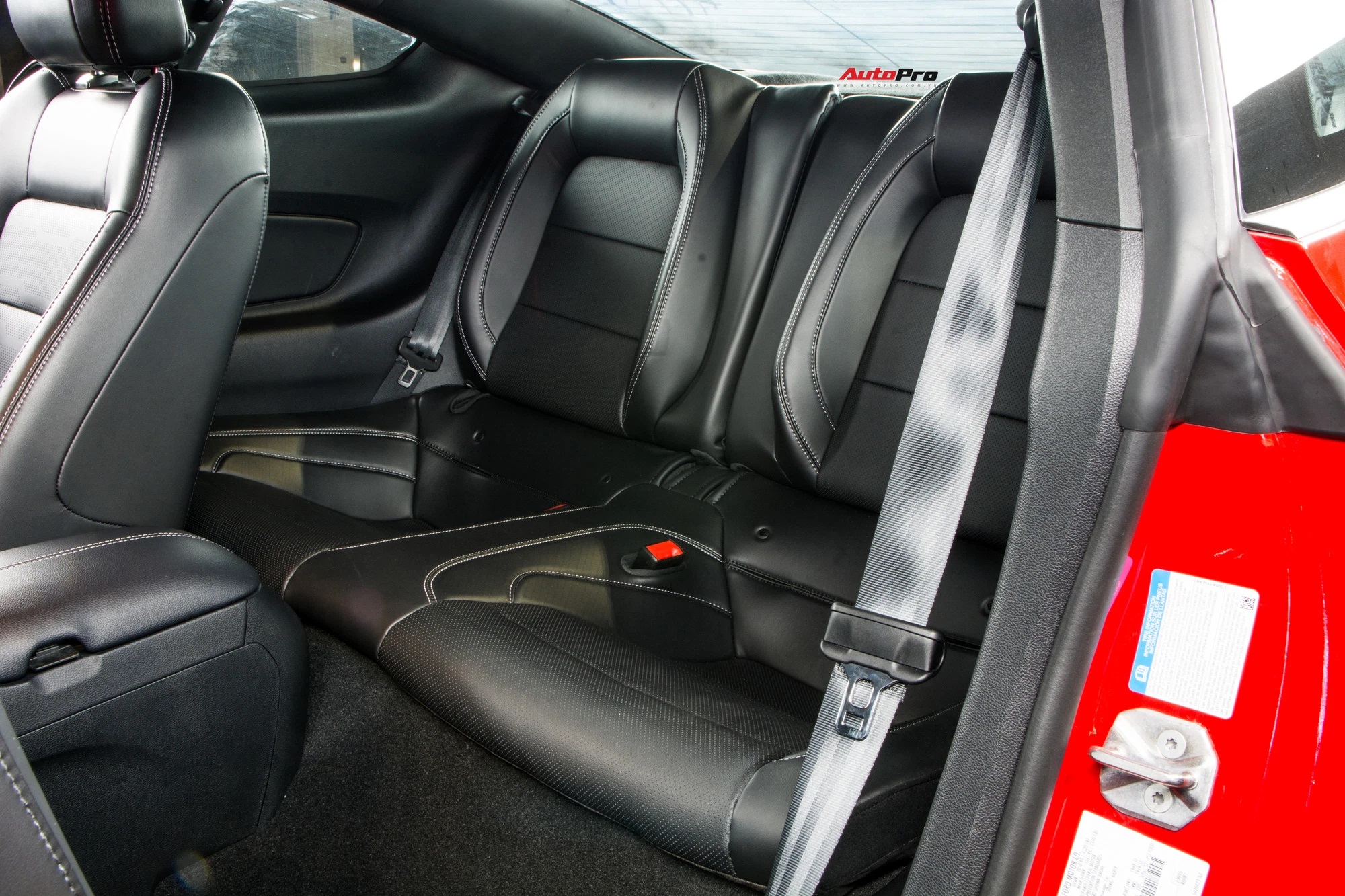 5nlh9867-161243077153115445533635